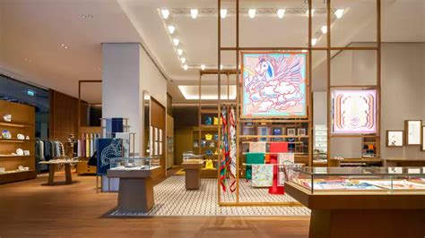 hermes africa|Hermes stores in usa.